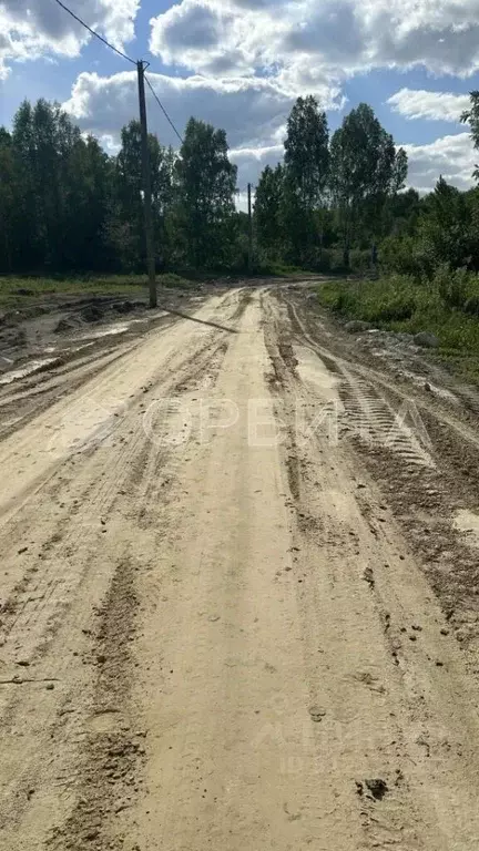 Участок в Тюменская область, Тюмень СОСН Приозерное тер., ул. ... - Фото 0