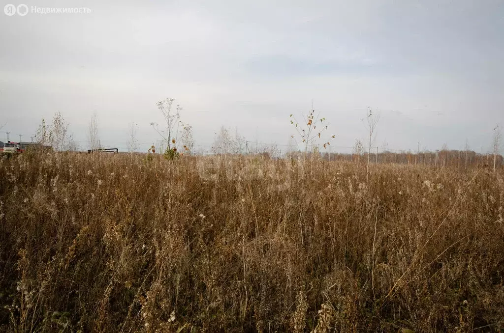 Участок в Заводоуковск, улица Юлии Друниной (9.6 м) - Фото 2