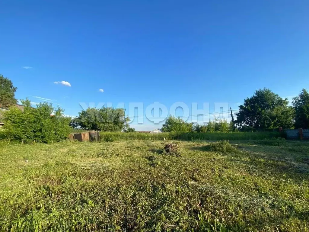 Участок в Брянская область, Брянский район, Супоневское с/пос, с. ... - Фото 1