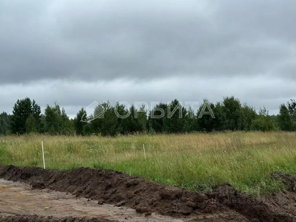 Участок в Тюменская область, Тюменский муниципальный округ, с. Успенка ... - Фото 2
