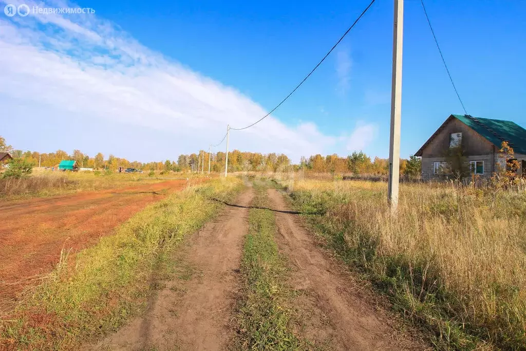 Участок в Первомайский район, посёлок Новый, улица Есенина, 6 (12 м) - Фото 0