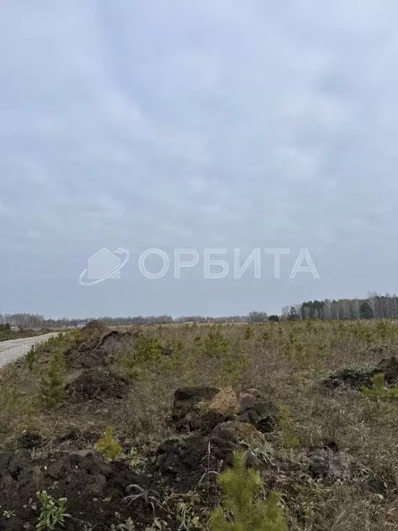 Участок в Тюменская область, Тюменский муниципальный округ, д. Ушакова ... - Фото 1