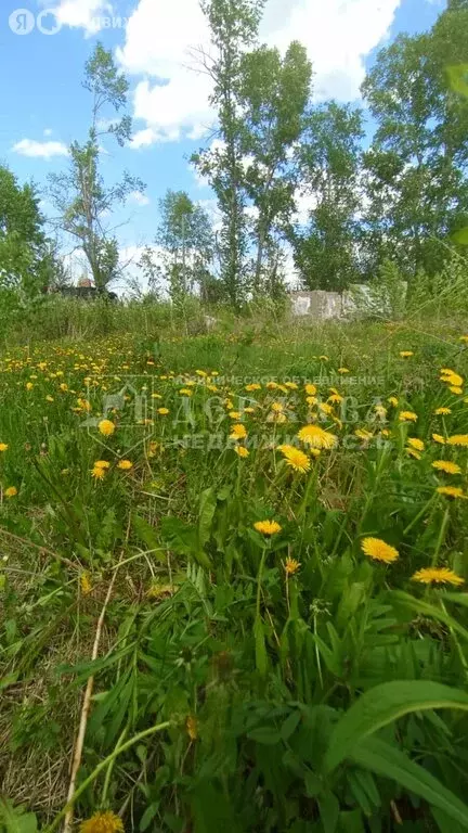 Участок в Кемерово, СНТ Сухой Искитим, 57 (6 м) - Фото 1