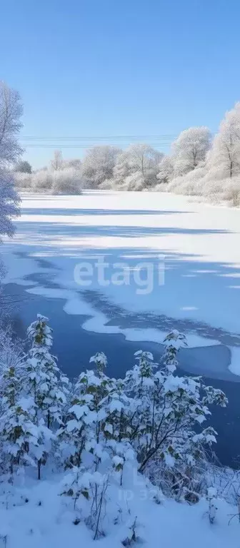 Участок в Новгородская область, Чудовский район, Трегубовское с/пос, ... - Фото 1