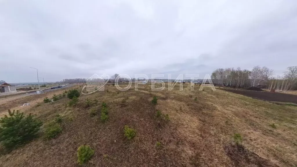 Участок в Тюменская область, Тюменский район, Новокаменский кп ул. ... - Фото 1