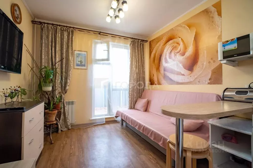 Студия Новосибирская область, Новосибирск ул. Забалуева, 90 (20.0 м) - Фото 1