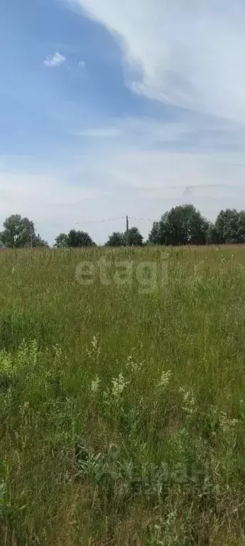 Участок в Башкортостан, Уфимский район, Булгаковский сельсовет, д. ... - Фото 2