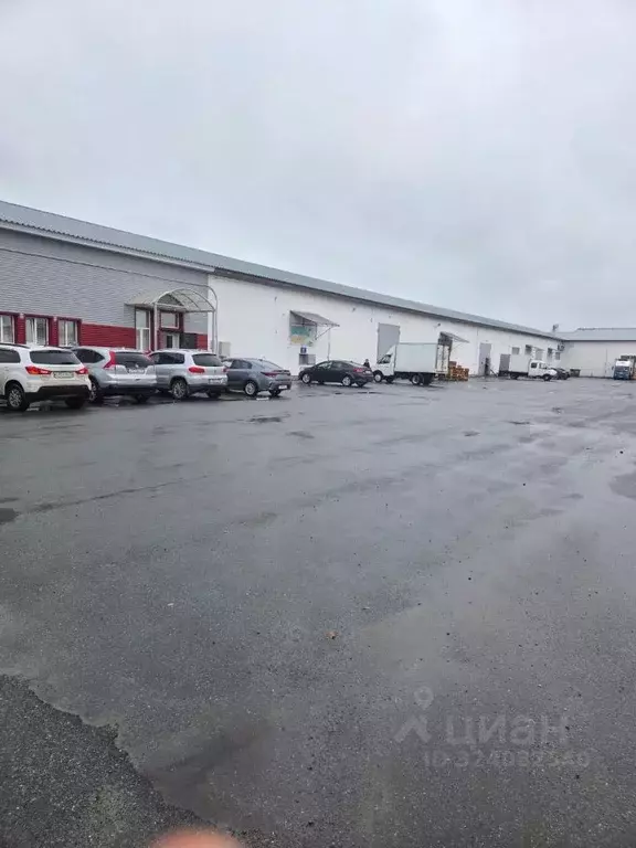 Склад в Курганская область, Курган Омская ул., 171Ж (5000 м) - Фото 1