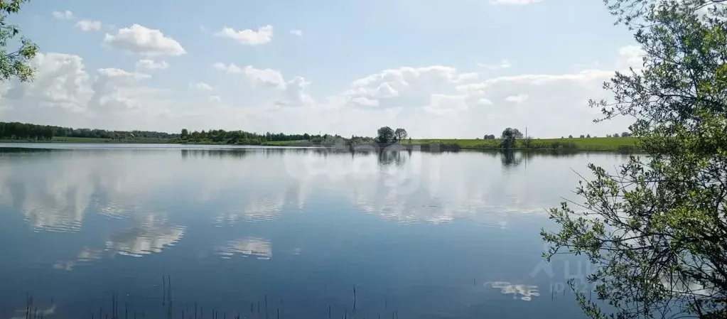 Участок в Калужская область, Бабынинский муниципальный округ, Утешево ... - Фото 1