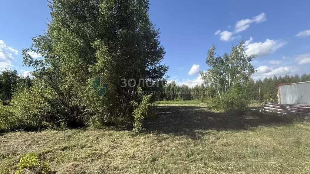 Участок в Московская область, Дмитровский муниципальный округ, ... - Фото 2
