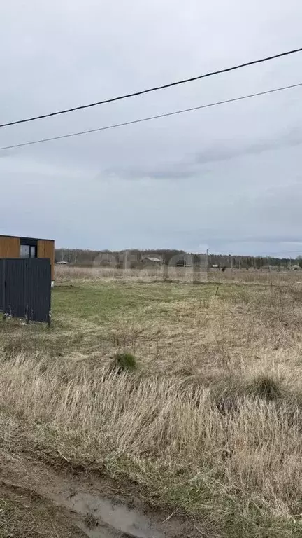 Участок в Тюменская область, Тюменский муниципальный округ, с. Кулига, ... - Фото 1