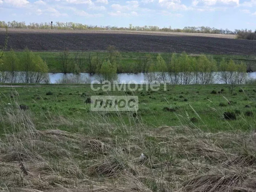 Участок в Курская область, Курский район, Новопоселеновский сельсовет, ... - Фото 1