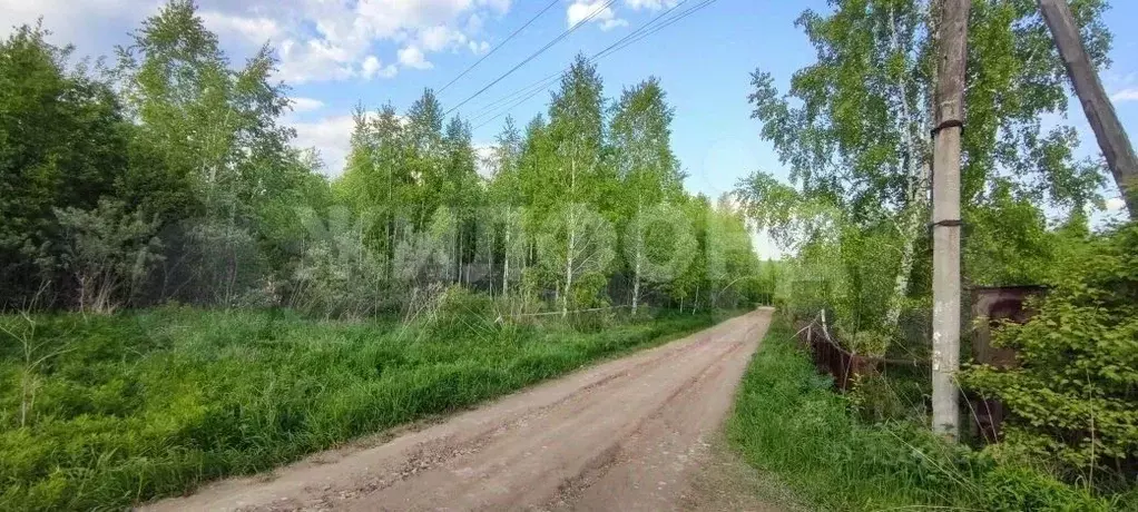 Участок в Новосибирская область, Новосибирский район, с. Барышево  ... - Фото 2