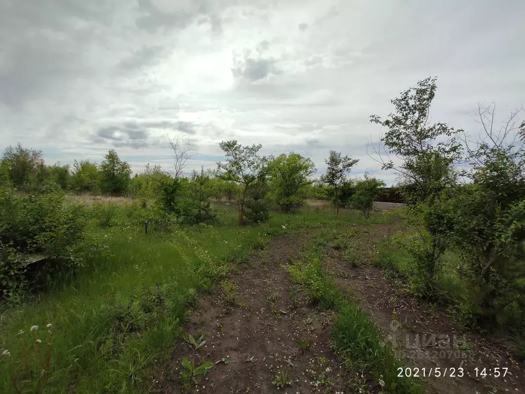 Участок в Воронежская область, Новоусманский район, с. Бабяково ул. ... - Фото 0