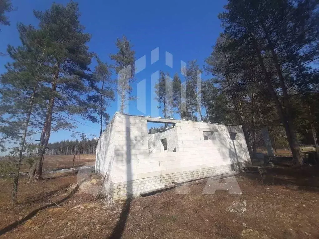 Участок в Воронежская область, Рамонский район, Новоживотинновское ... - Фото 1