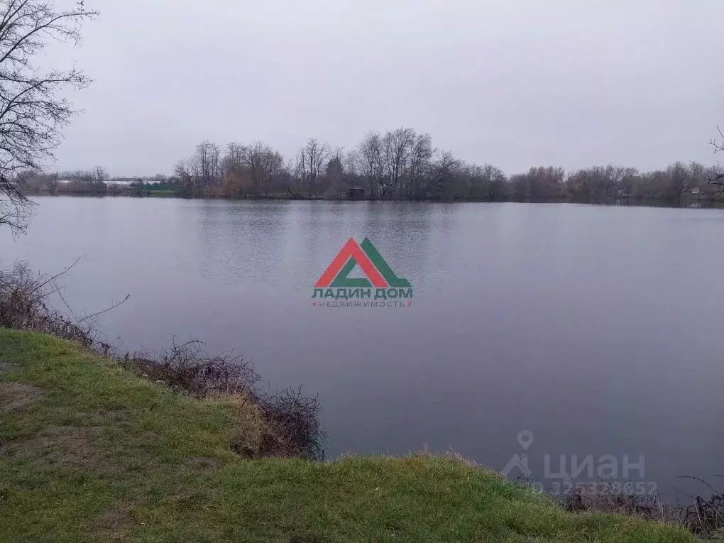 Участок в Краснодарский край, Динской район, Нововеличковское с/пос, ... - Фото 1