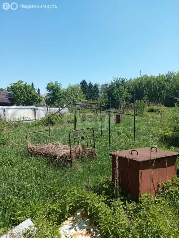 Участок в Бийск, Луговая улица (16 м) - Фото 1