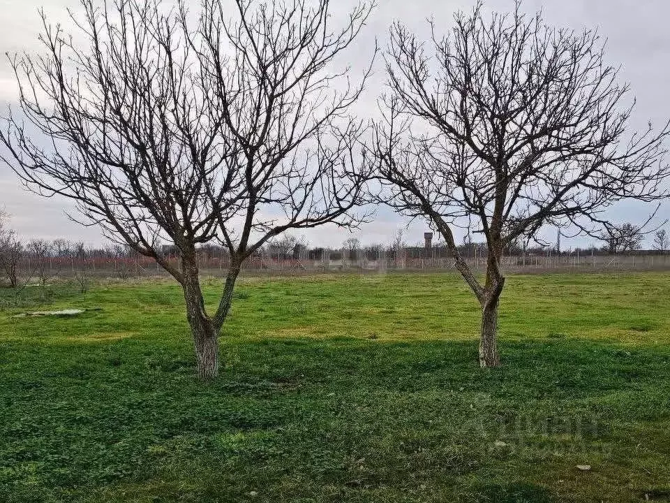Участок в Крым, Красногвардейский район, Амурское с/пос, с. ... - Фото 2