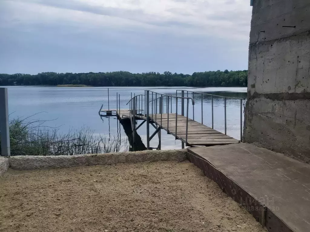 Дом в Саратовская область, Воскресенский район, Елшанское ... - Фото 2