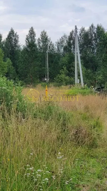 Участок в Свердловская область, Дегтярск Восточная ул., 61 (12.0 сот.) - Фото 1