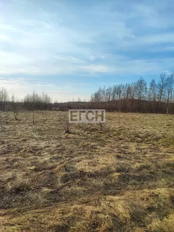 Продается участок в д. Протасово - Фото 1