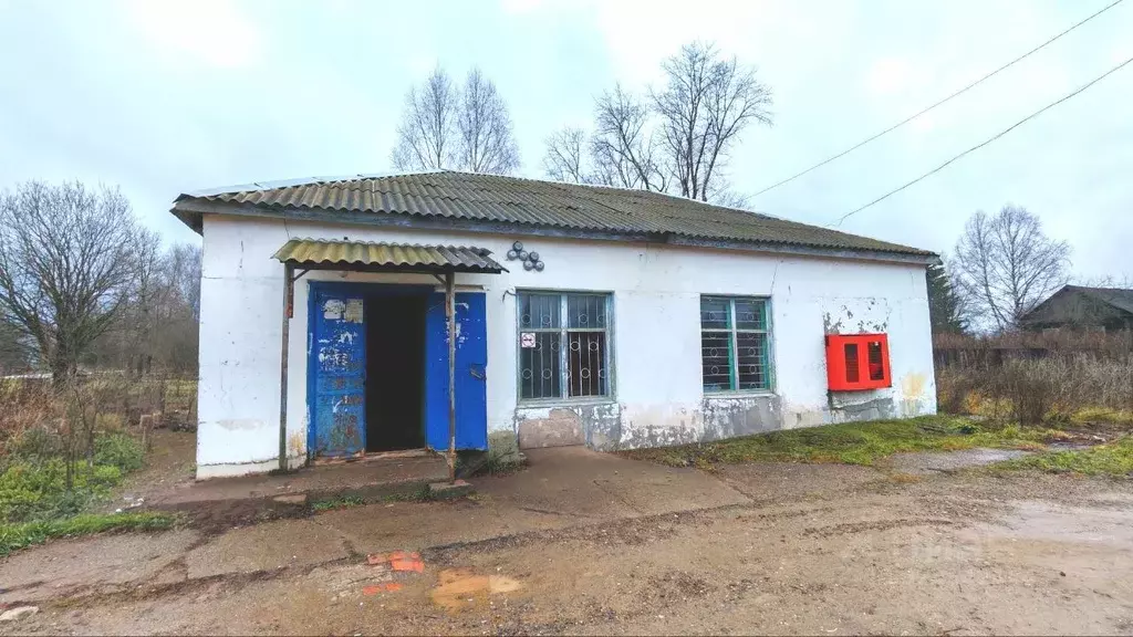 Торговая площадь в Пермский край, Чайковский городской округ, д. ... - Фото 2
