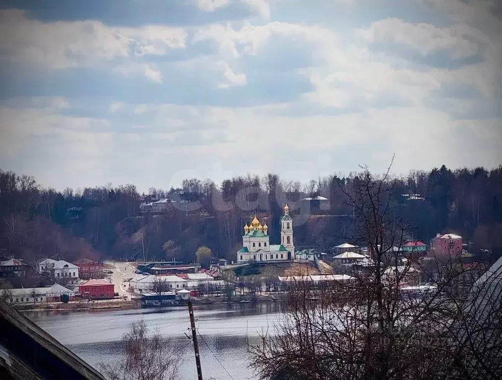 Участок в Костромская область, Красносельский район, Прискоковское ... - Фото 1