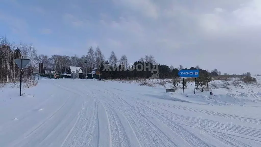 Участок в Новосибирская область, Новосибирский район, Морской ... - Фото 1