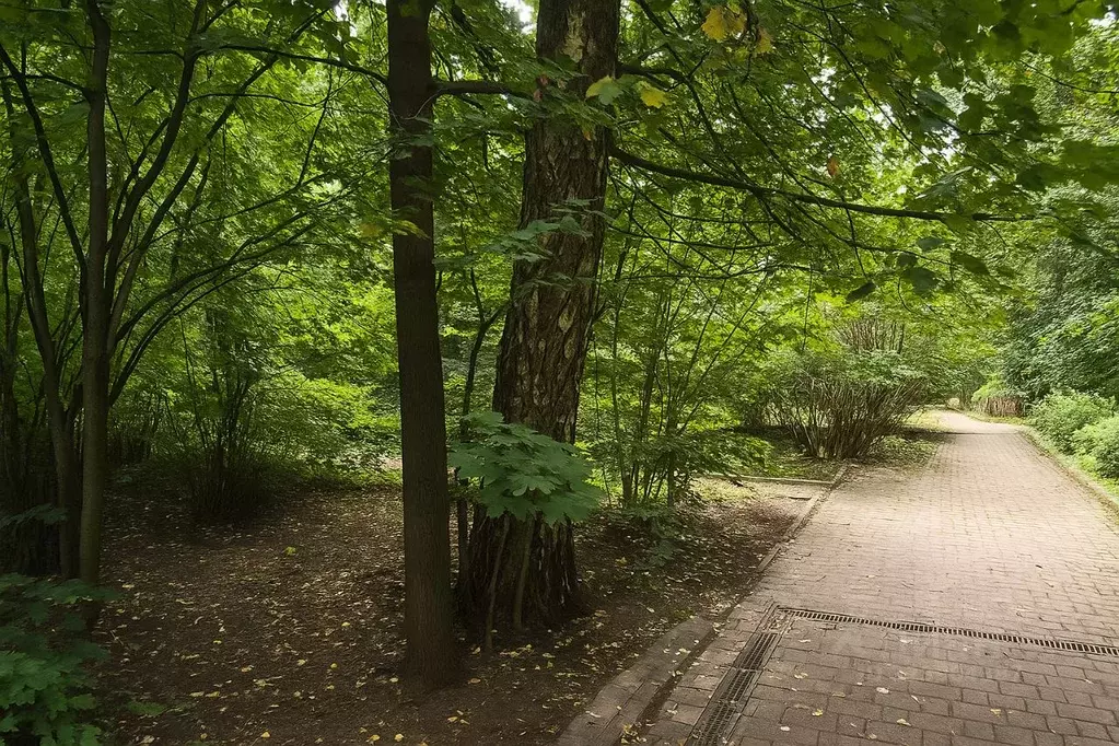 Участок в Московская область, Одинцовский городской округ, д. ... - Фото 2