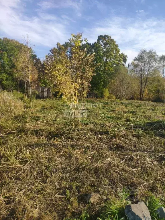 Участок в Приморский край, Надеждинский район, с. Вольно-Надеждинское ... - Фото 1