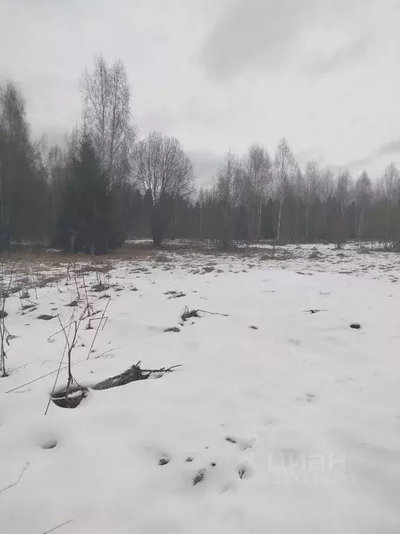 Участок в Московская область, Клин городской округ, д. Поджигородово  ... - Фото 1