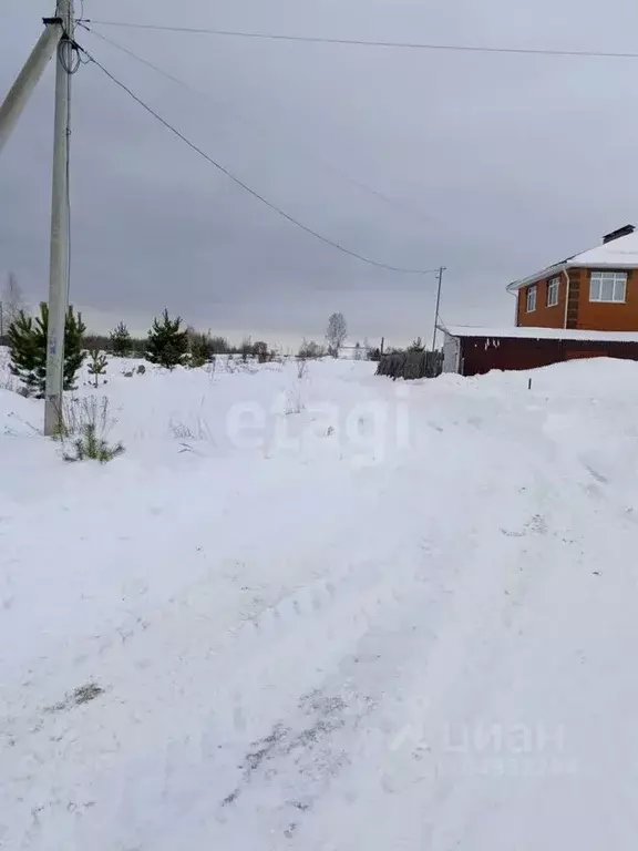 Участок в Нижегородская область, Выкса городской округ, Досчатое рп ... - Фото 1