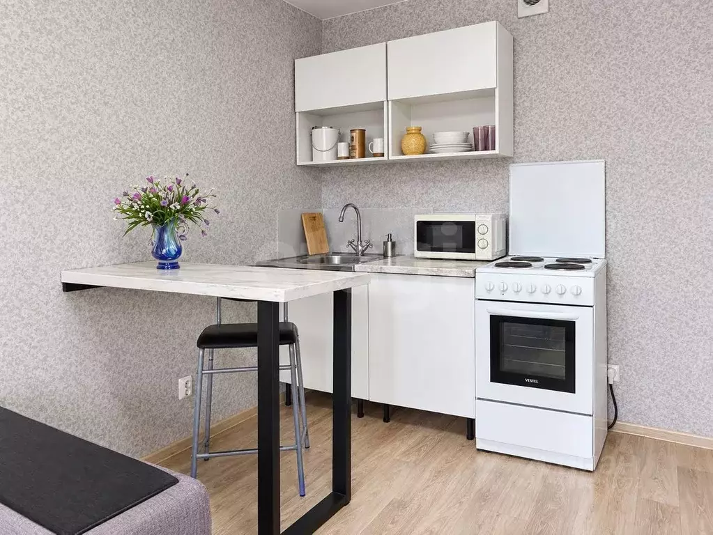 Студия Санкт-Петербург пос. Парголово, Заречная ул., 13к3 (26.9 м) - Фото 2