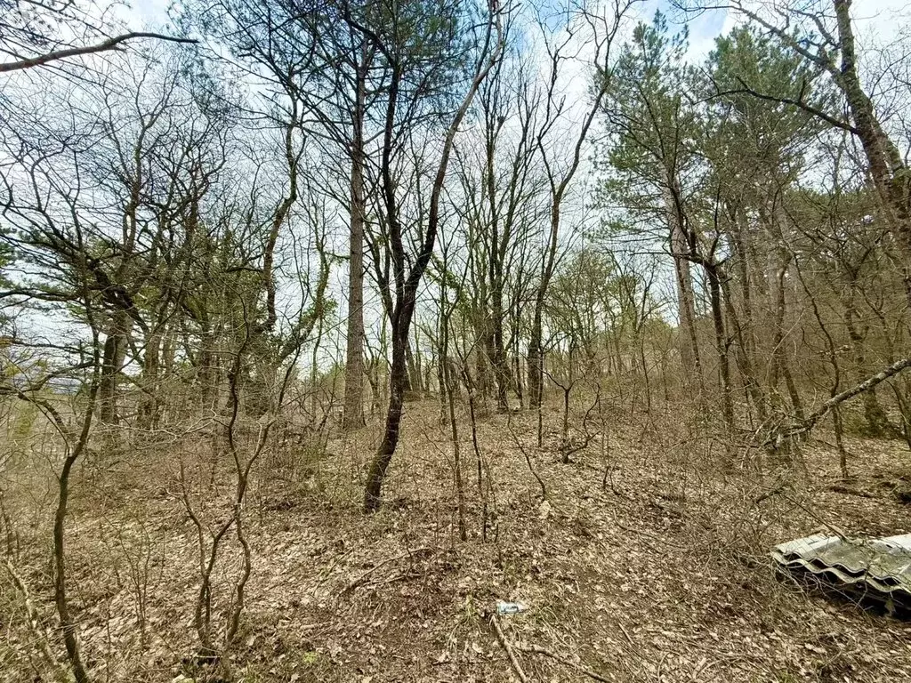 Участок в Республика Крым, муниципальный округ Ялта, посёлок ... - Фото 1