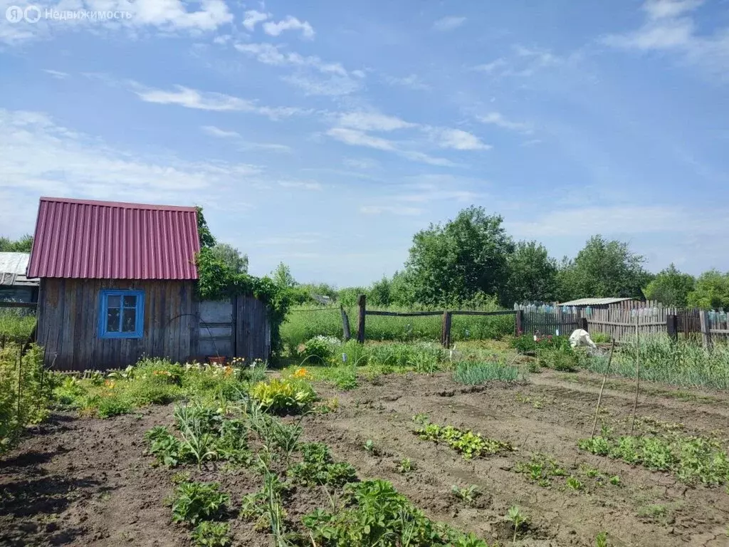 Участок в Мошковский район, село Сокур (89.64 м) - Фото 1