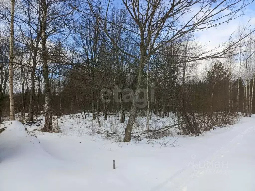 Участок в Новгородская область, Чудовский район, Грузинское с/пос, д. ... - Фото 2