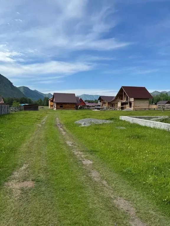 Участок в Алтай, Чемальский район, с. Чемал ул. Крестовая, 6 (11.36 ... - Фото 1