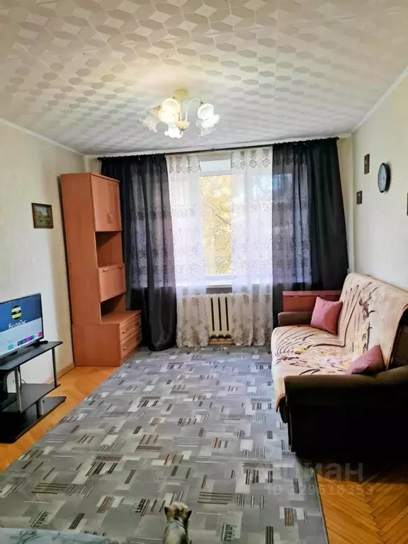 1-к кв. Московская область, Люберцы ул. Кирова, 41 (32.4 м) - Фото 1