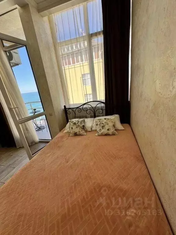 1-к кв. Краснодарский край, Сочи ул. Просвещения, 118/1 (29.0 м) - Фото 1