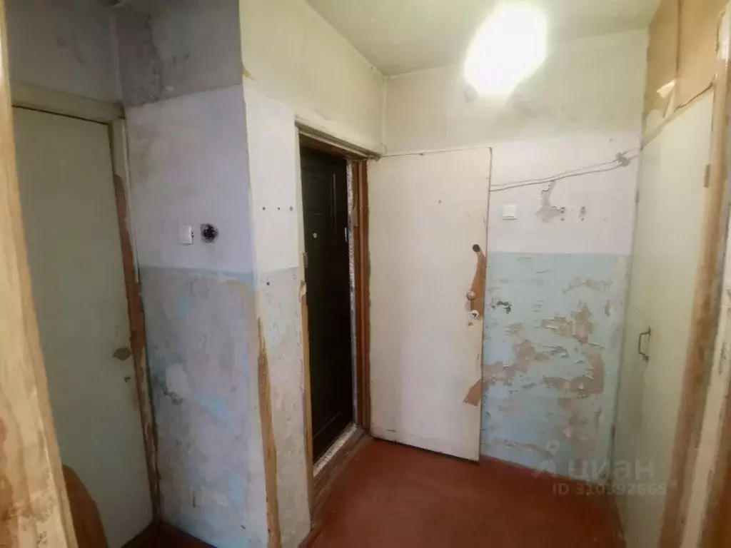 2-к кв. Хабаровский край, Хабаровск ул. Кирова, 3А (40.8 м) - Фото 2