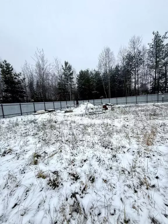 Участок в Московская область, Орехово-Зуевский городской округ, ... - Фото 1