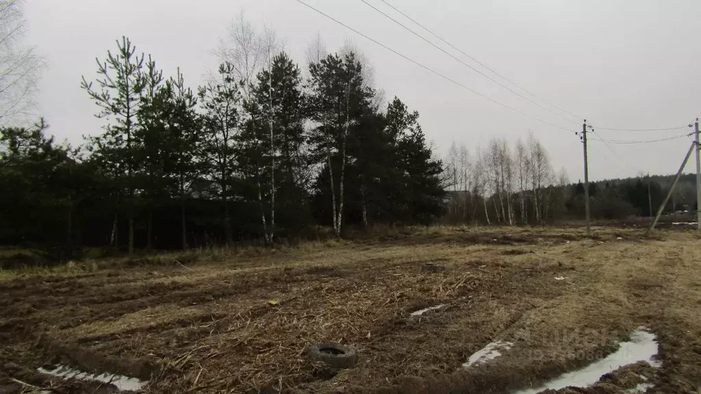 Участок в Московская область, Рузский муниципальный округ, пос. ... - Фото 1