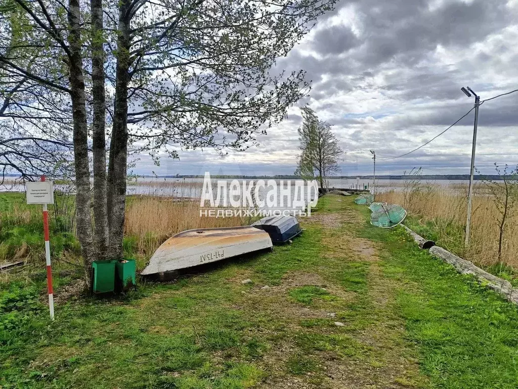 Участок 6 сот. (СНТ, ДНП) - Фото 0