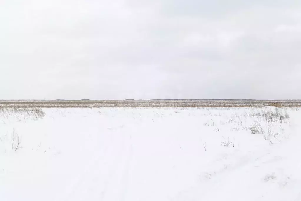 Участок в Тюменская область, Тюменский район, д. Решетникова, Веванта ... - Фото 0