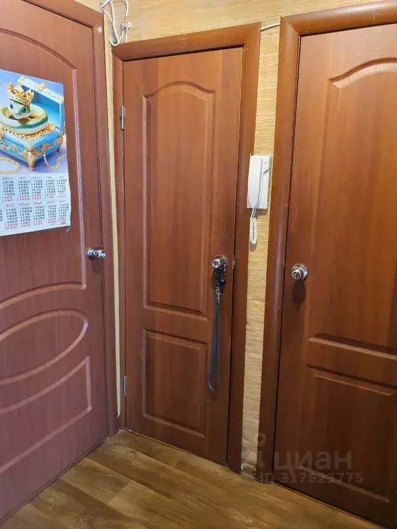 1-к кв. Санкт-Петербург Белорусская ул., 28 (32.3 м) - Фото 1