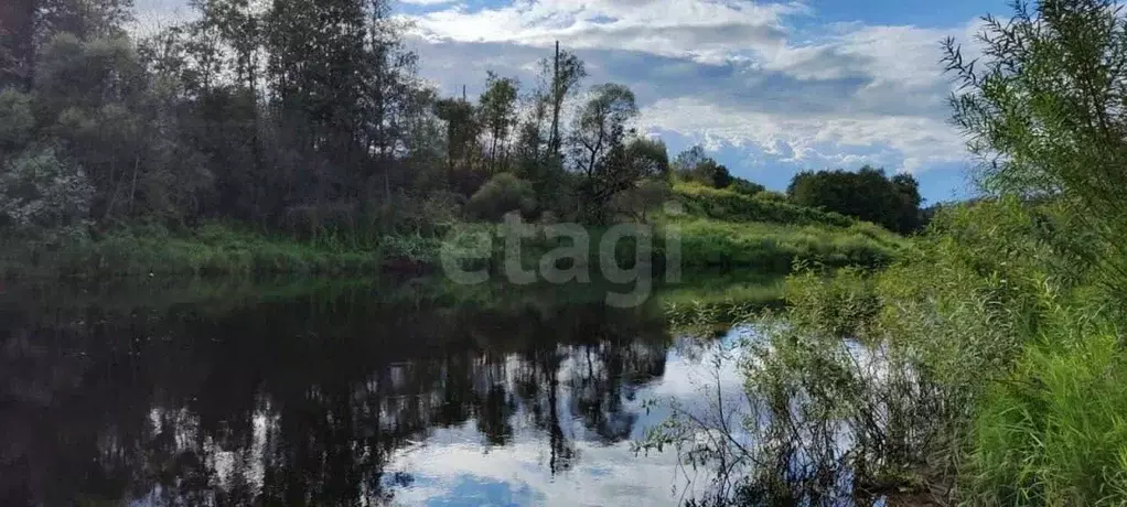 Участок в Псковская область, Псковский район, Ядровская волость, д. ... - Фото 1