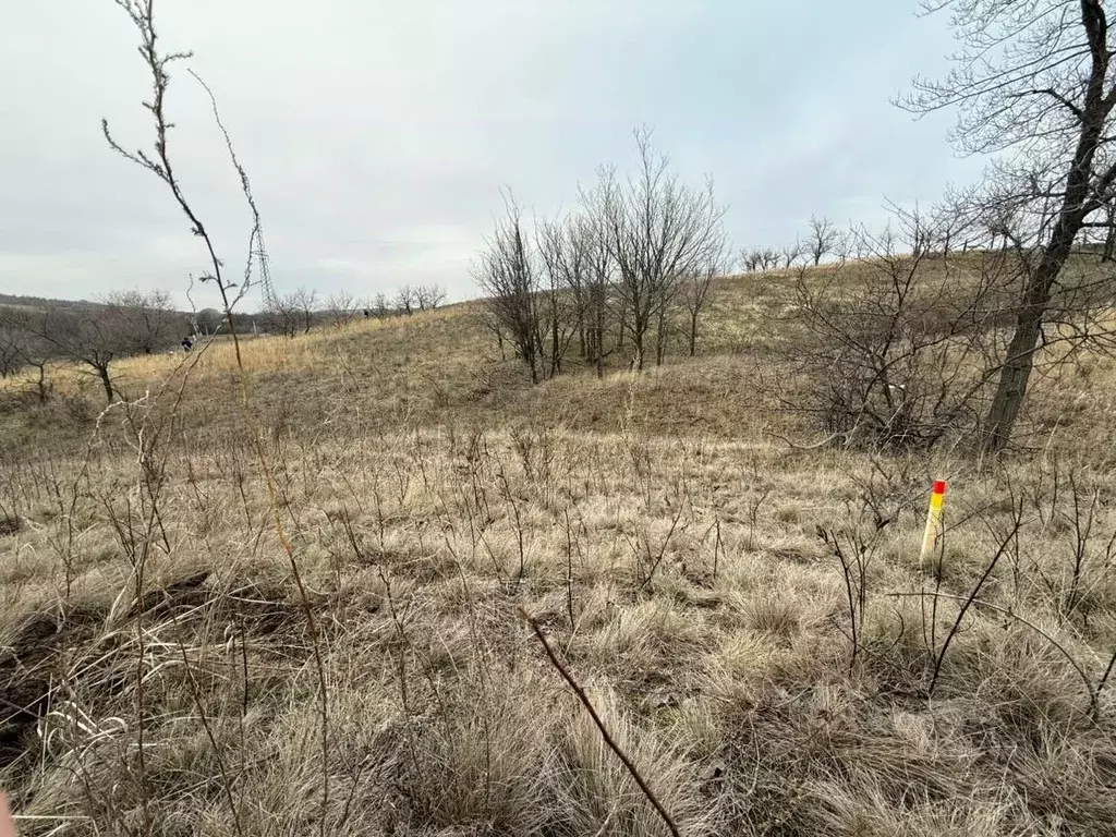 Участок в Волгоградская область, Городищенский район, Царицынское ... - Фото 2