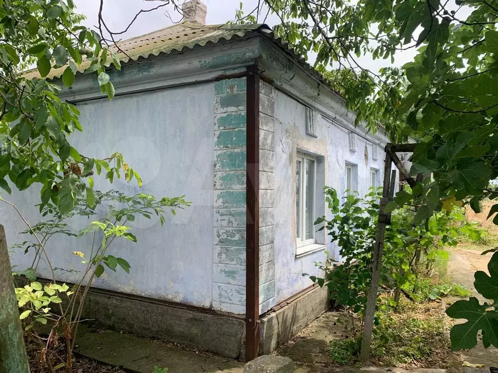 Дом 50 м на участке 21 сот. - Фото 0