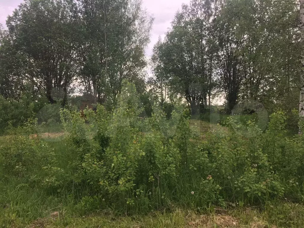 Участок 9 сот. (СНТ, ДНП) - Фото 1