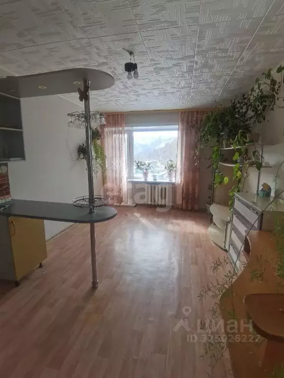 2-к кв. Сахалинская область, Южно-Сахалинск городской округ, с. ... - Фото 2